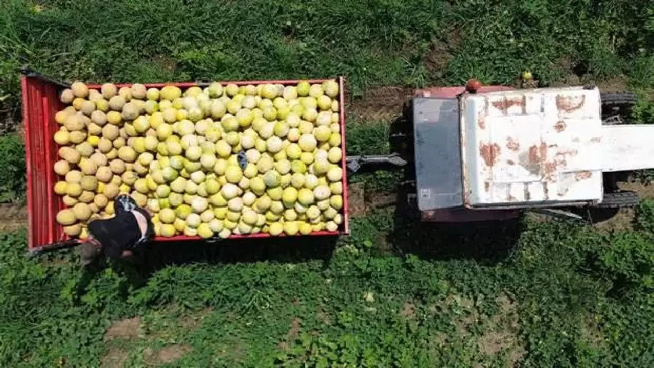 En çok kilo aldıran meyvelerden biri: Üzüme dikkat