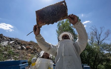 Arıcılıkta kazanç patladı aylık gelir 120 bin TL’ye kadar çıkıyor