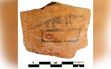 Antik Mısır’dan şaşırtan keşif 43 bin günlük not bulundu