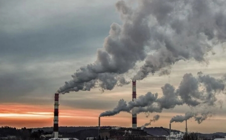 Sera gazı emisyonlarında artış: Enerji sektörü başı çekti