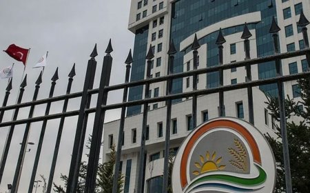 SON DAKİKA: Tarım ve Orman Bakanlığı 1.874 personel alımı yapacak! Bakan Yumaklı kadro dağılımını açıkladı